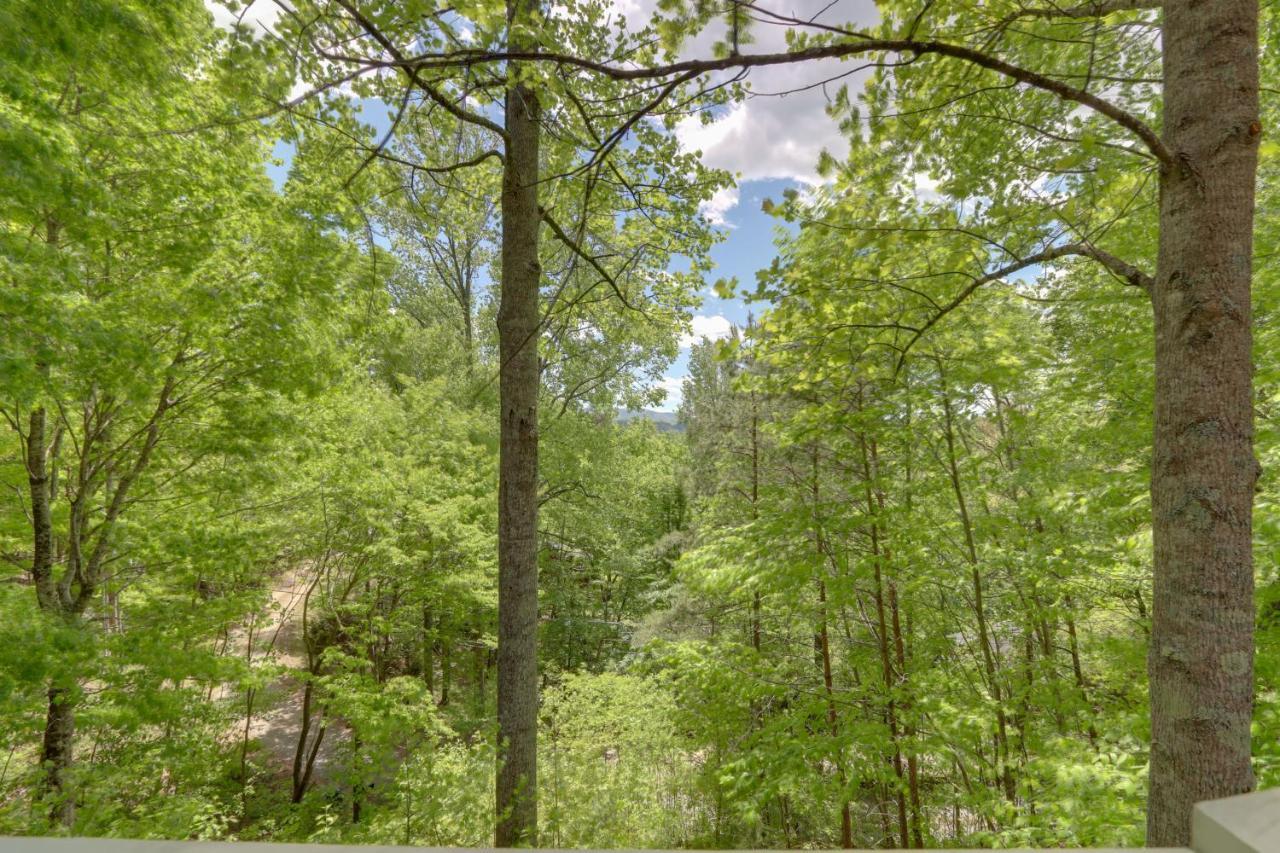 Blue Ridge Getaway With Hot Tub And Seasonal View! 빌라 외부 사진